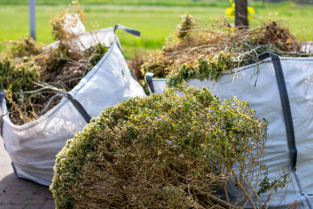 Best Same-Day Junk Removal  in East Speer, NC